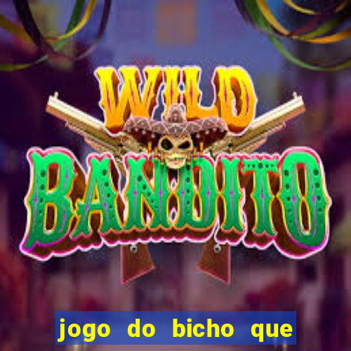 jogo do bicho que da dinheiro