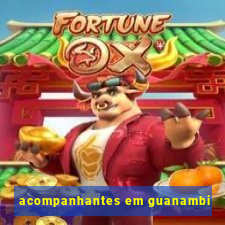 acompanhantes em guanambi