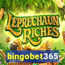 bingobet365