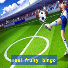 reel fruity bingo slot free play