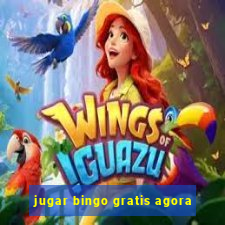 jugar bingo gratis agora