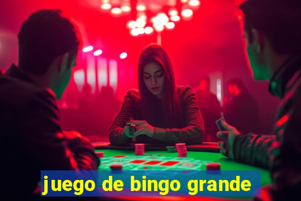 juego de bingo grande