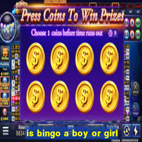 is bingo a boy or girl