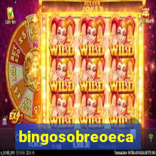 bingosobreoeca