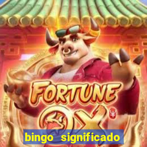 bingo significado da palavra