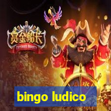 bingo ludico